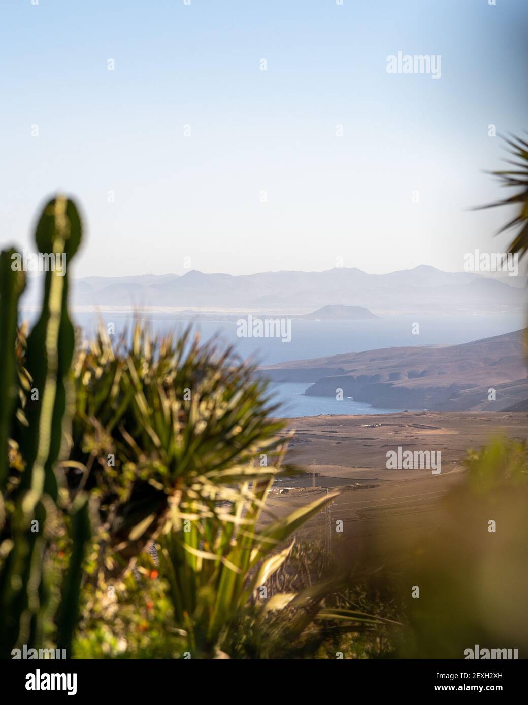 A vertical shot of a beautiful coastal landscape with plants in the foreground Stock Photo