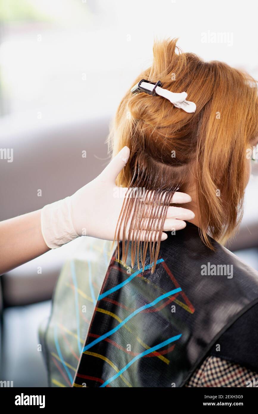 Back view of a female hairdresser doing a hairstyle for a redhead in a  beauty salon. The process of styling hair in the hair salon Stock Photo -  Alamy
