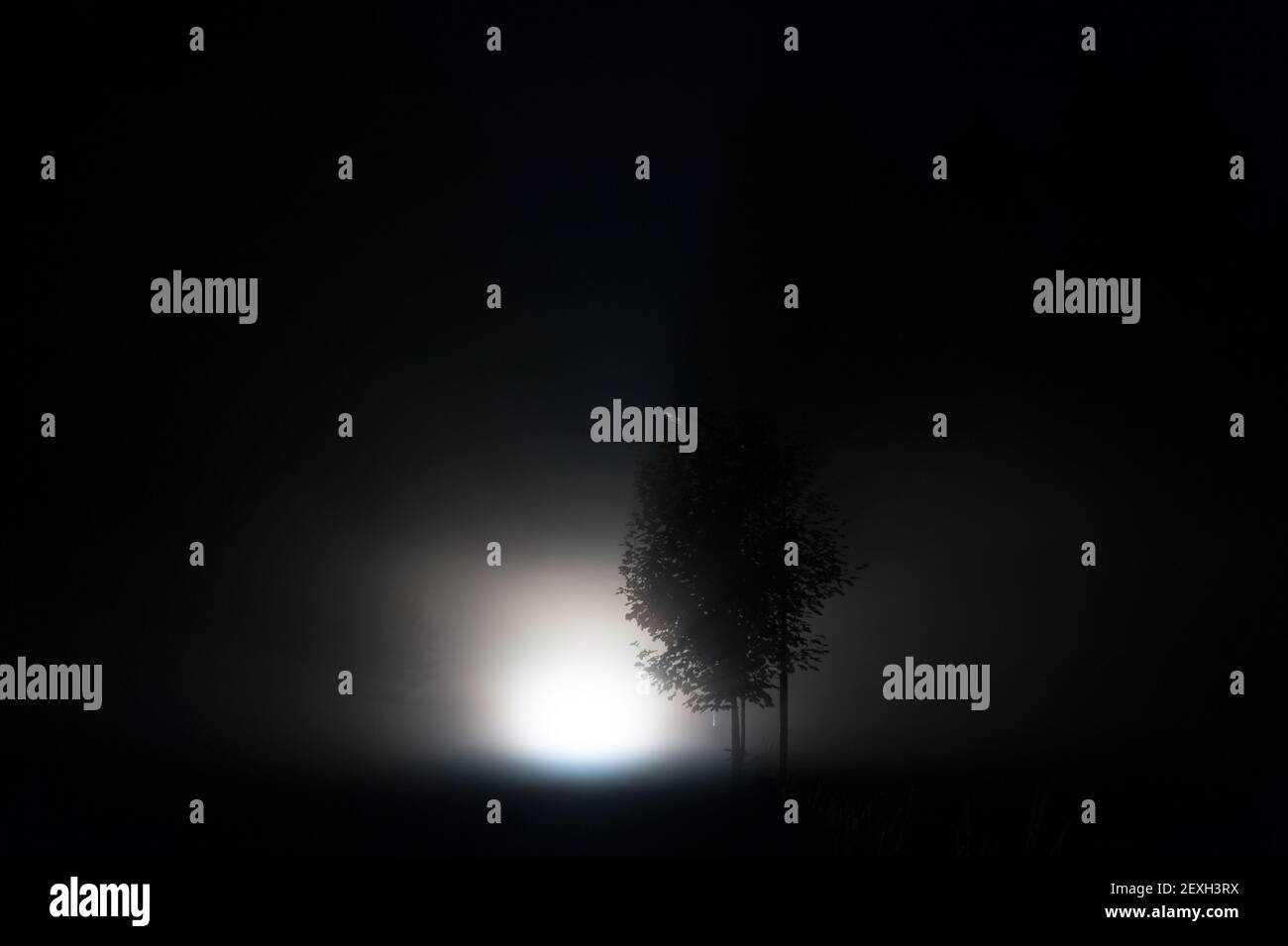Car headlights at night hires stock photography and images Alamy