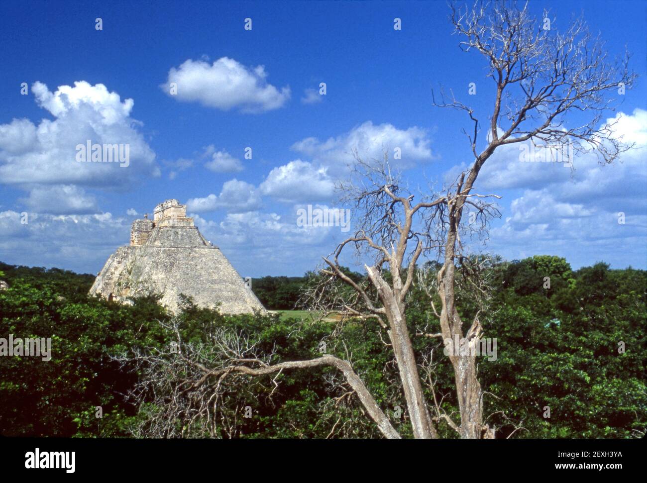 The Pyramid of the Magician in Uxmal, Mexico Stock Photo