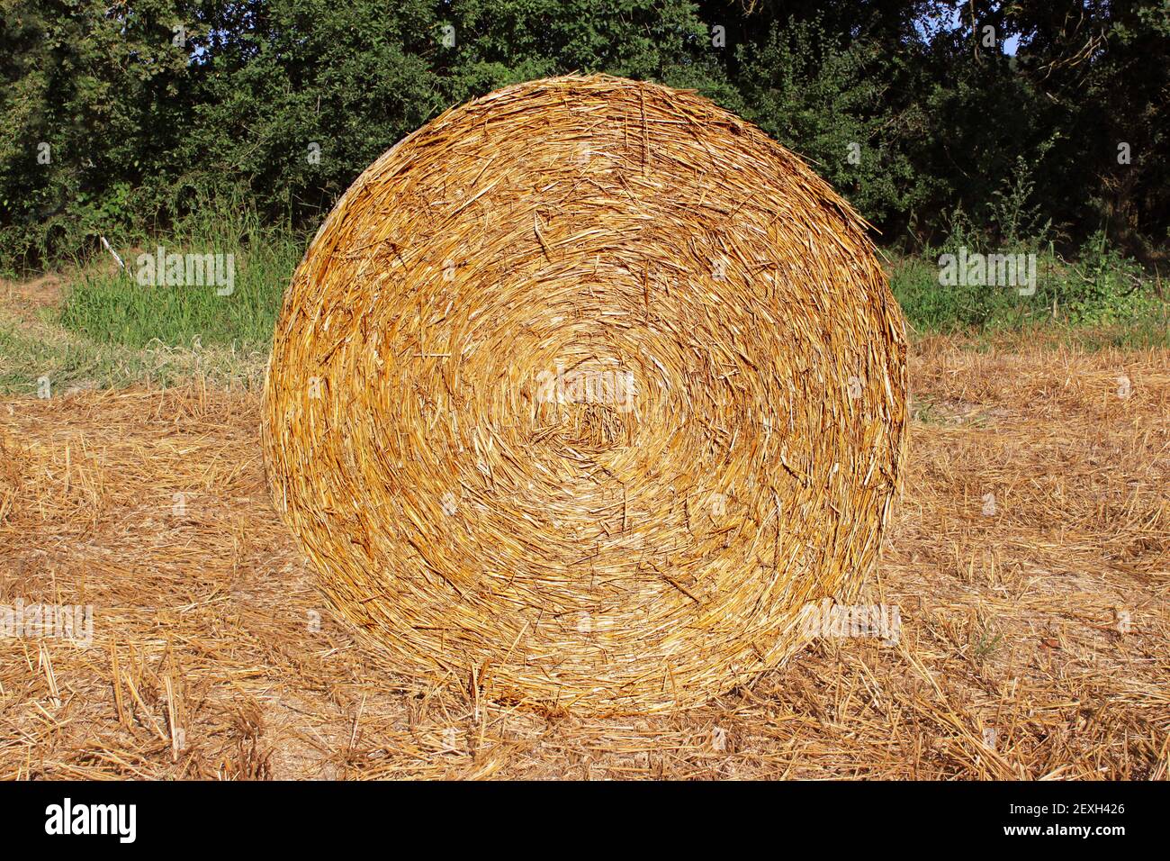 Stack of straw Stock Photo