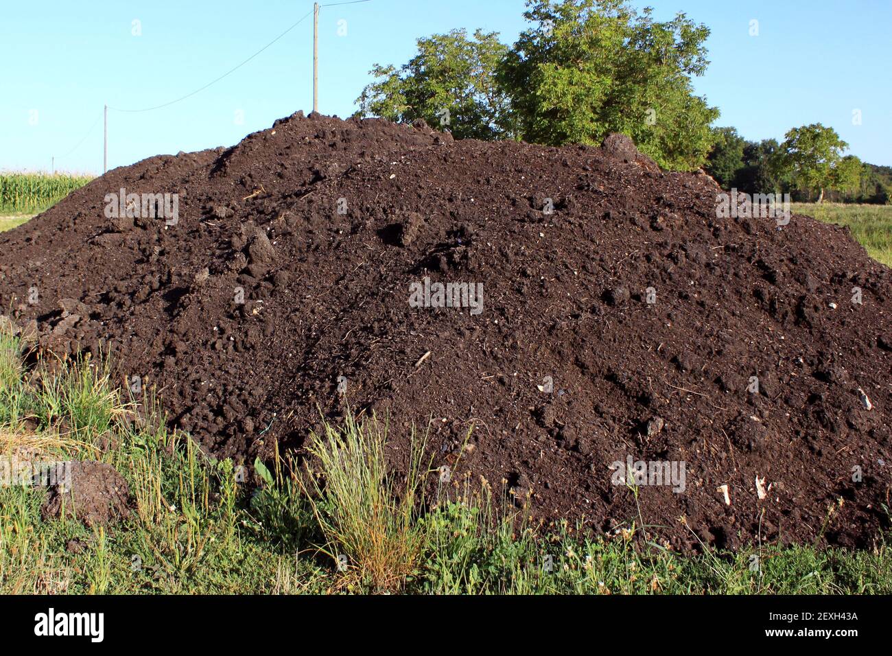 Horticultural compost Stock Photo