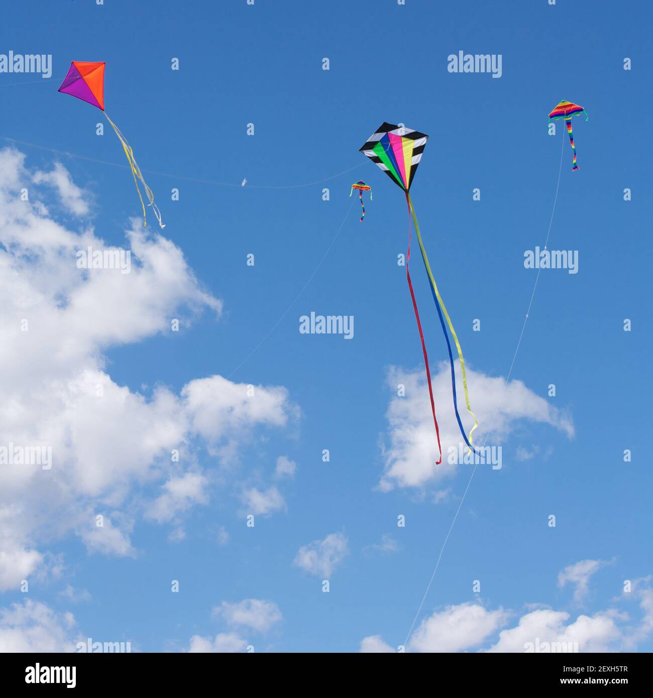 Kites Flying Stock Photo Alamy