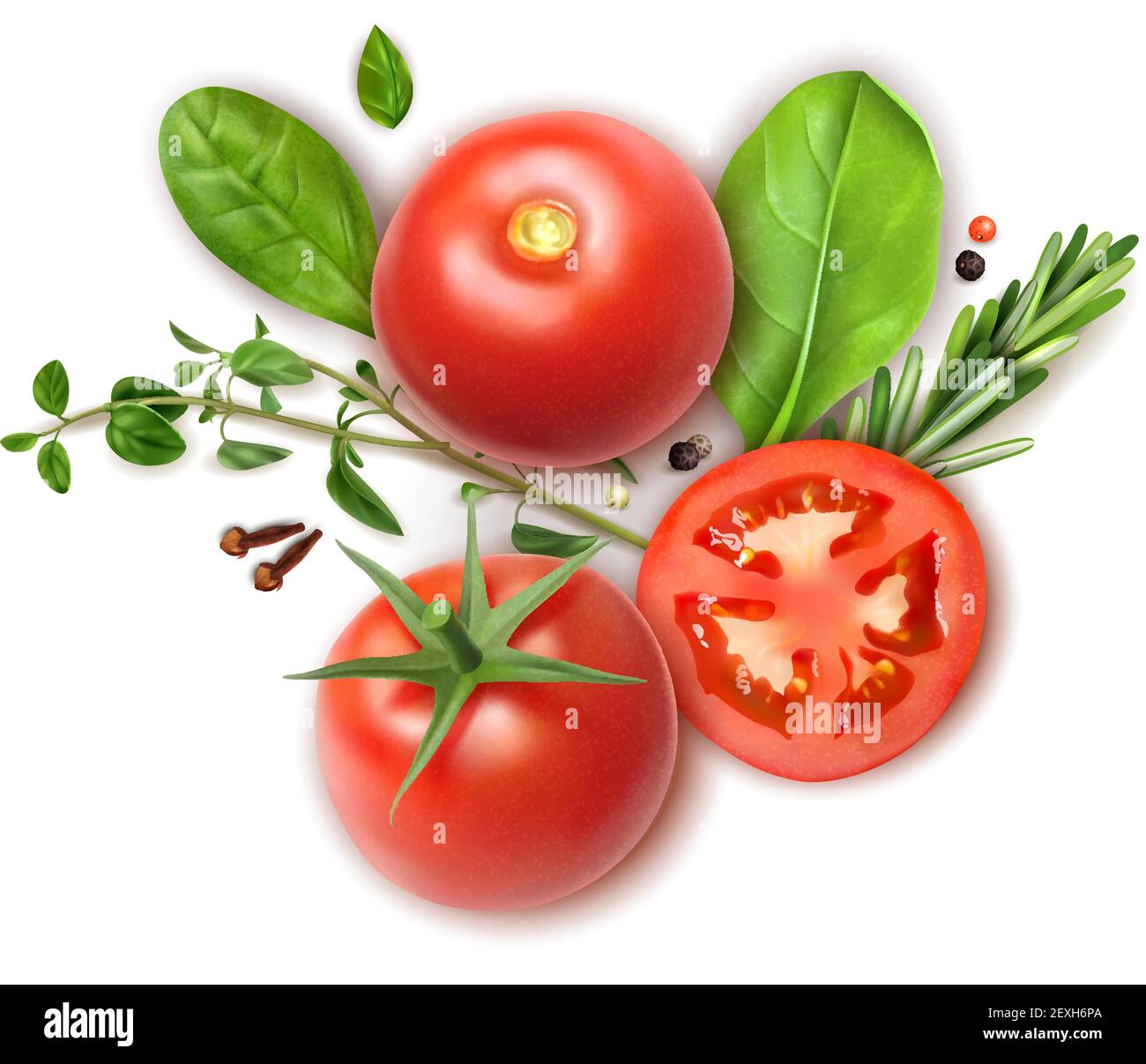 Fresh tomatoes whole and slices realistic composition with basil oregano rosemary herbs aromatic clove spice vector illustration Stock Vector