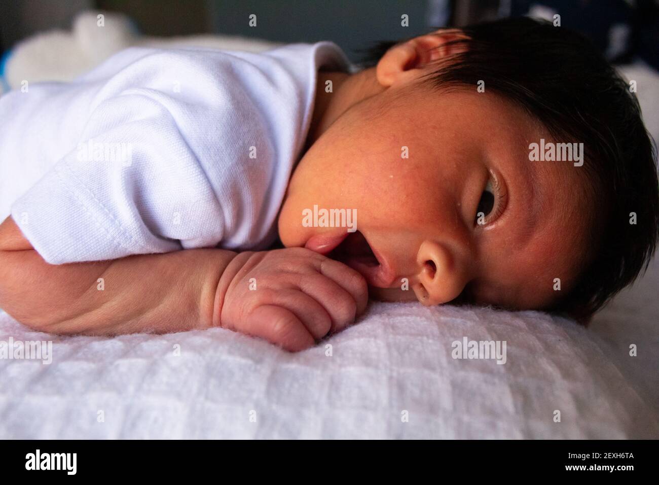 adorable newborn hispanic baby upside down Stock Photo Alamy