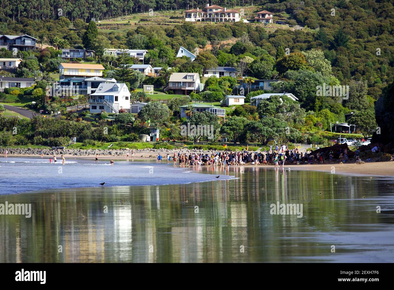 Crowd digging pools at Hot Water Beach at low tide,  on the Coromandel Peninsula in New Zealand's North Island Stock Photo