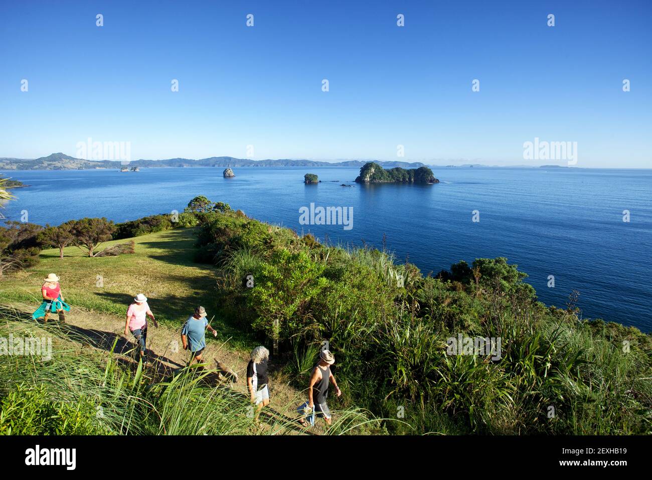 Walkers on the coastal pathway to Cathedral Cove near Hahei on the Coromandel Peninsula in New Zealand's North Island Stock Photo
