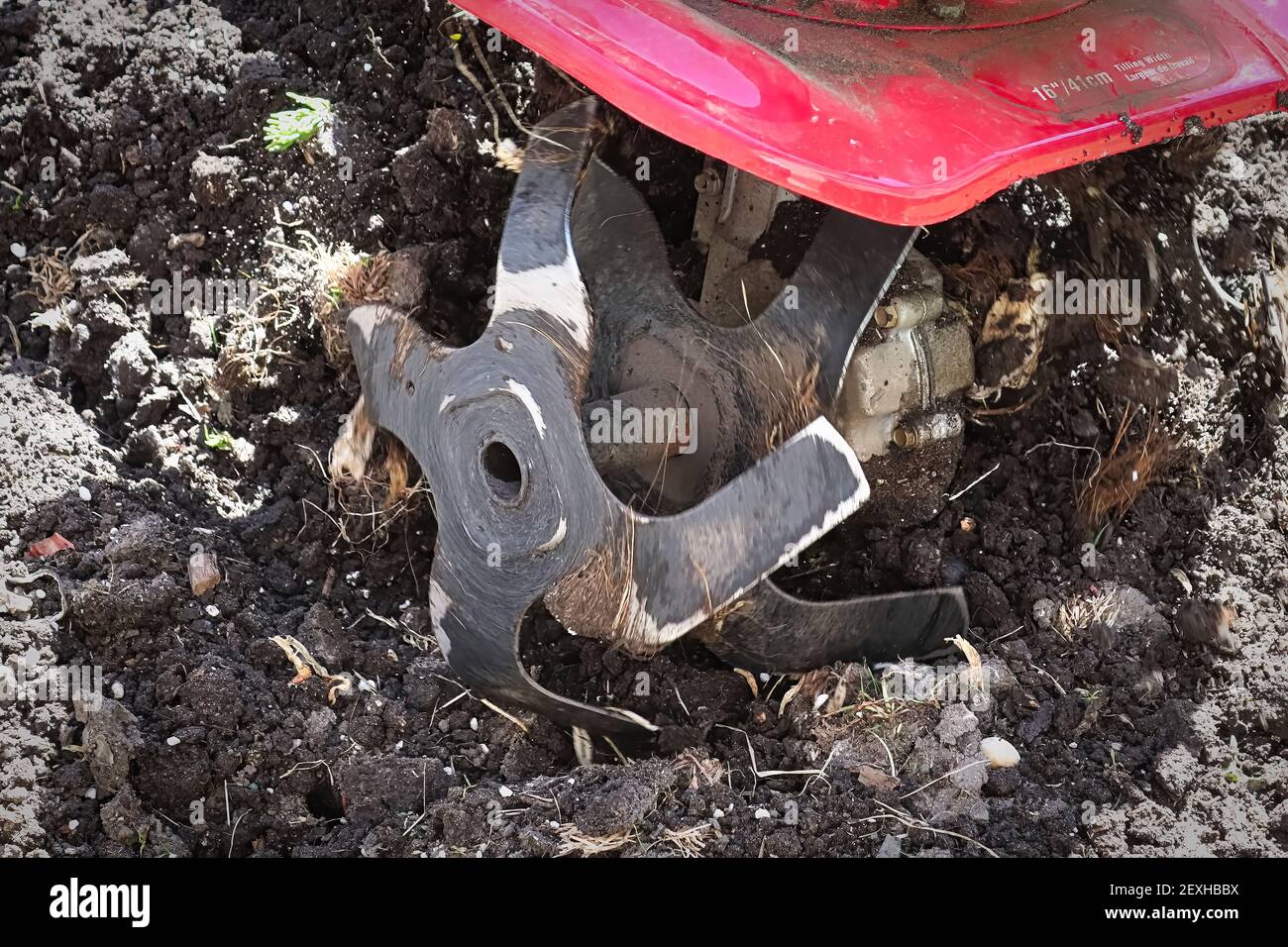 Cultivating garden soil in the spring with a rototiller Stock Photo