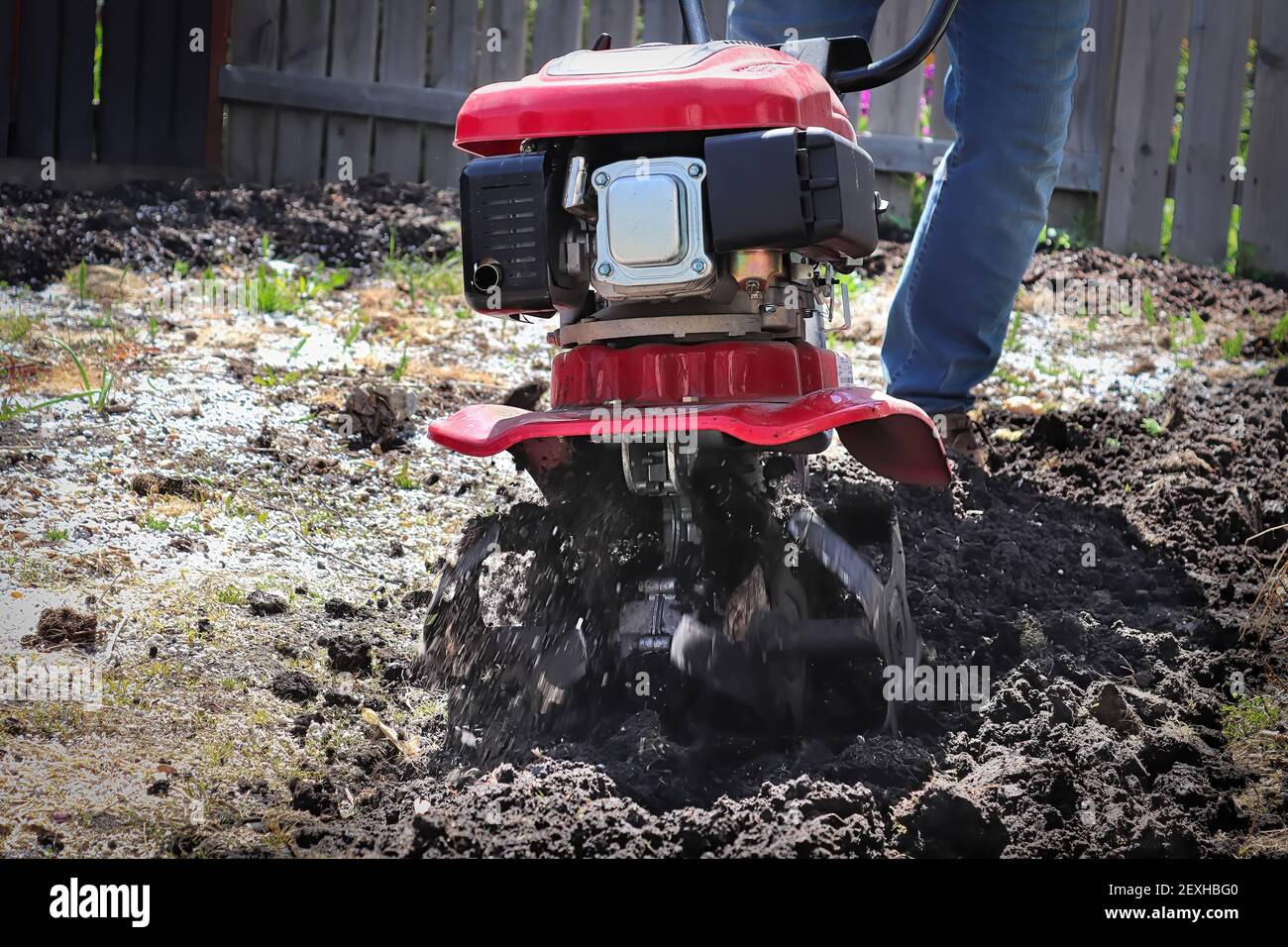 Cultivating garden soil in the spring with a rototiller Stock Photo