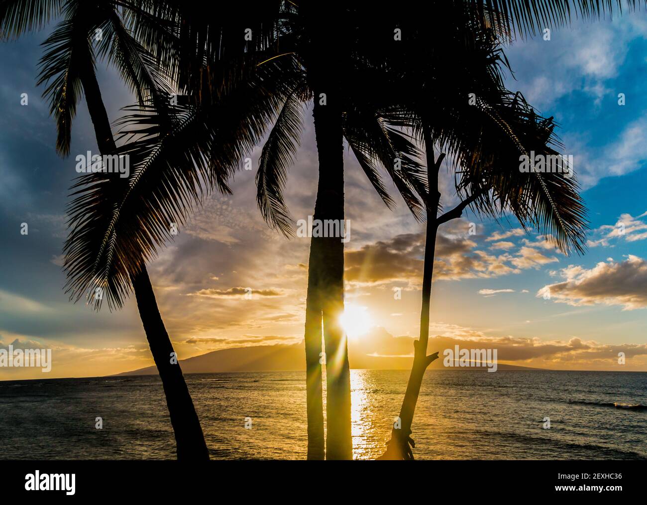 Sunset Over Lanai With Palm Tree Silhouette, Across Lahaina Bay, Maui, Hawaii, USA Stock Photo