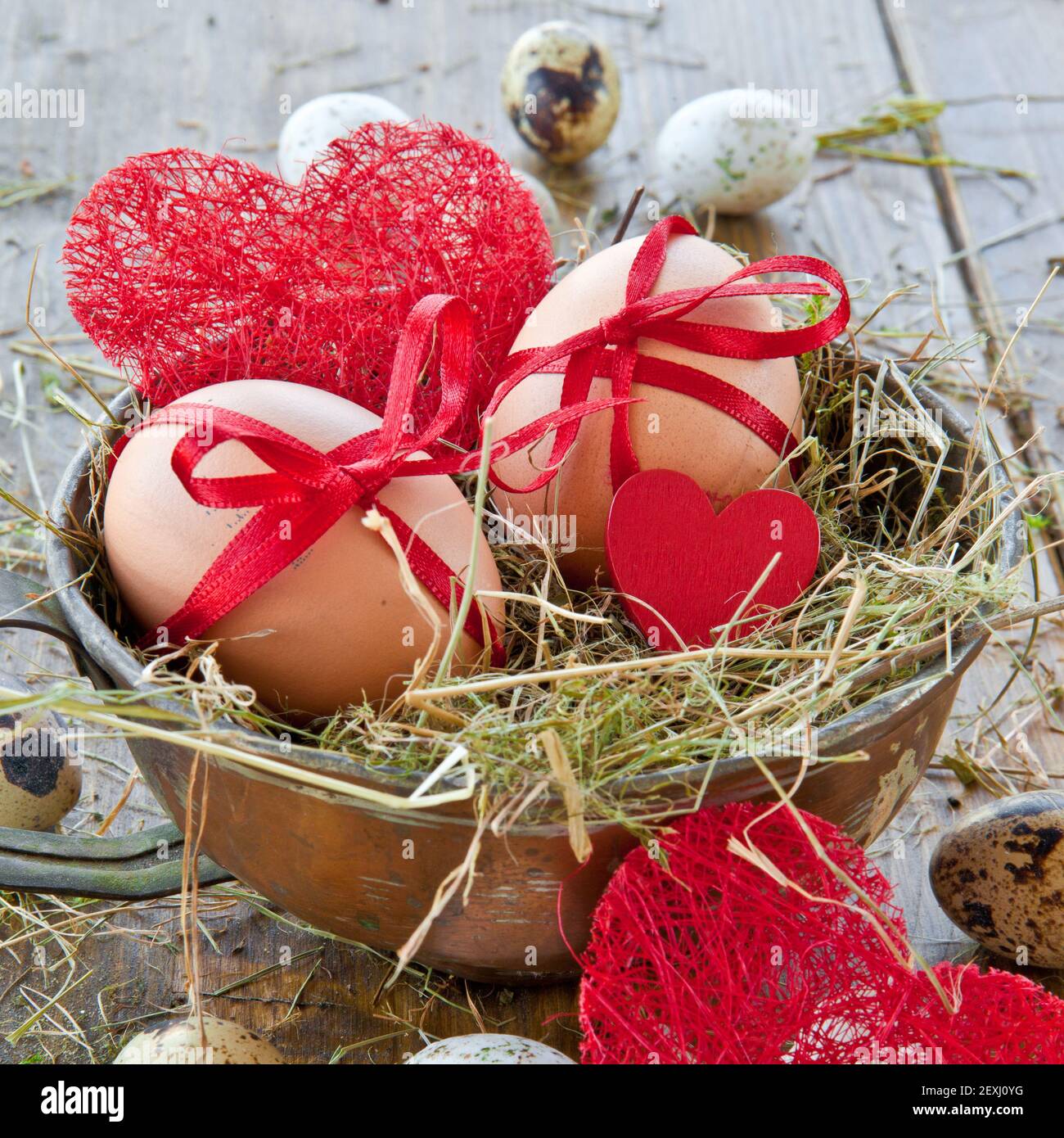 Various raw eggs Stock Photo Alamy