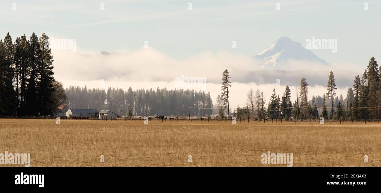 Mount Hood Washington Side Ranch Land Farm Grasslands Stock Photo - Alamy