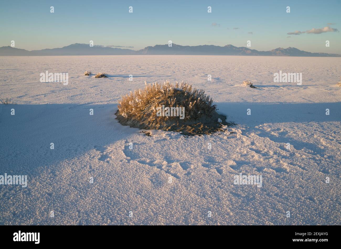 Bonneville Salt Flats Tooele County Utah Pleistocene Lake Sunset Stock Photo