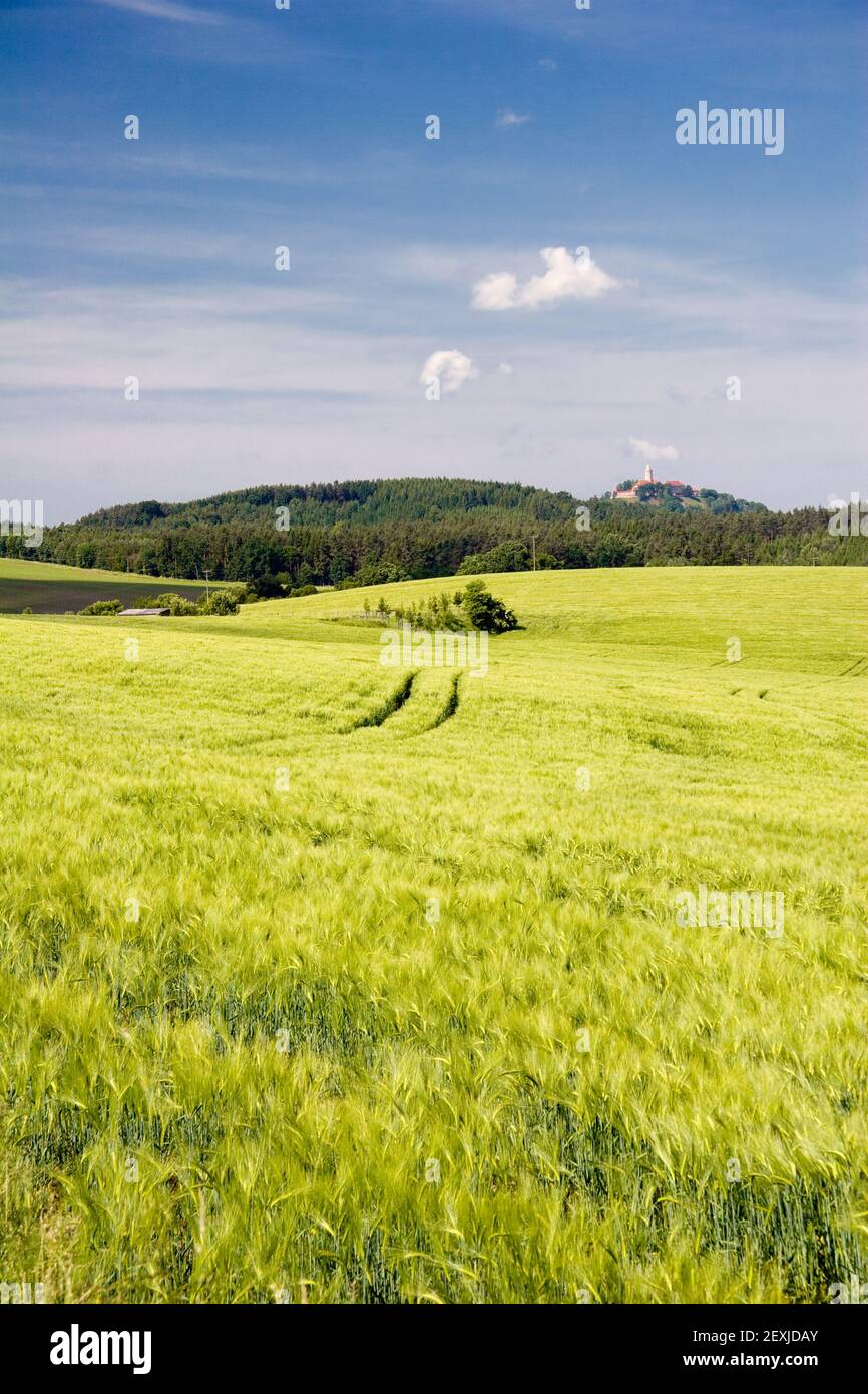 cultivation-of-grain-stock-photo-alamy