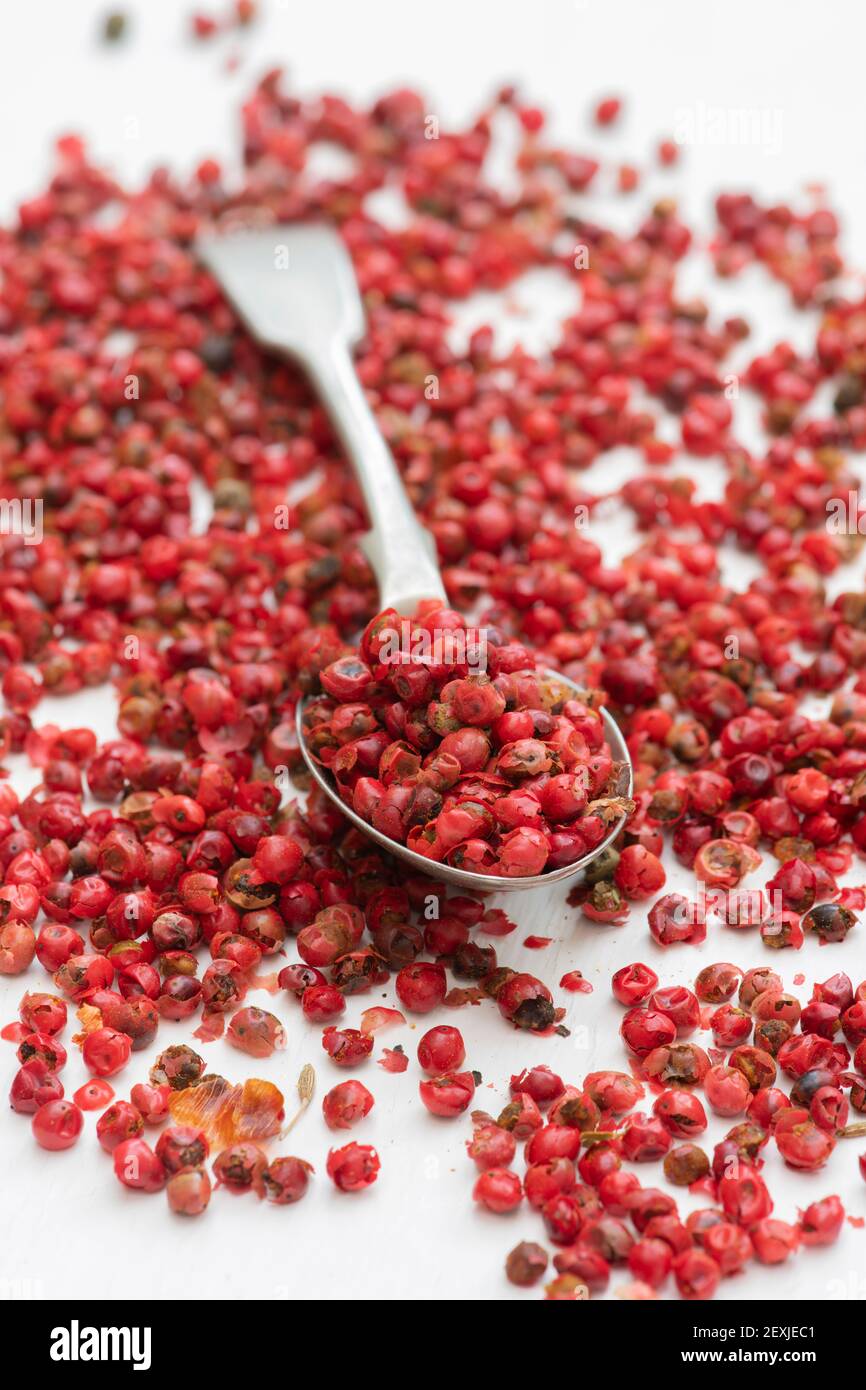 Red peppercorns and spoon on a white background Stock Photo