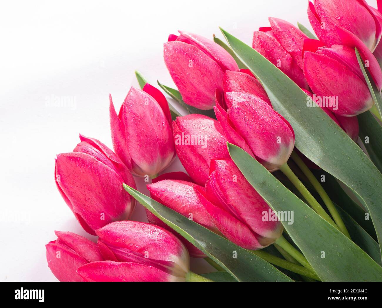 Pink tulips bouquet isolated on white background Stock Photo - Alamy