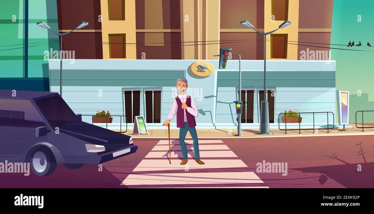 Senior pedestrian cross road on zebra with car waiting on traffic lights signal. Old man with Senior pedestrian cross road on zebra with car waiting on traffic lights signal. Old man with