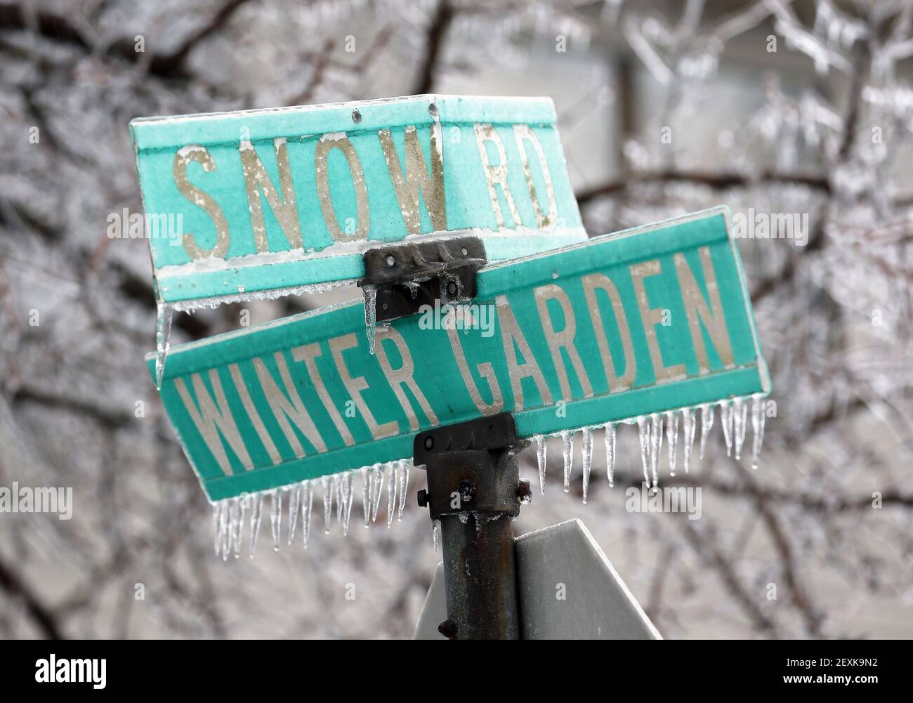 Icicles cling to the street signs for Snow Rd. and Winter Garden Dr. in Lexington, Ky., Wednesday, February 5, 2014. (Photo by Charles Bertram/Lexington Herald-Leader/MCT/Sipa USA) Stock Photo