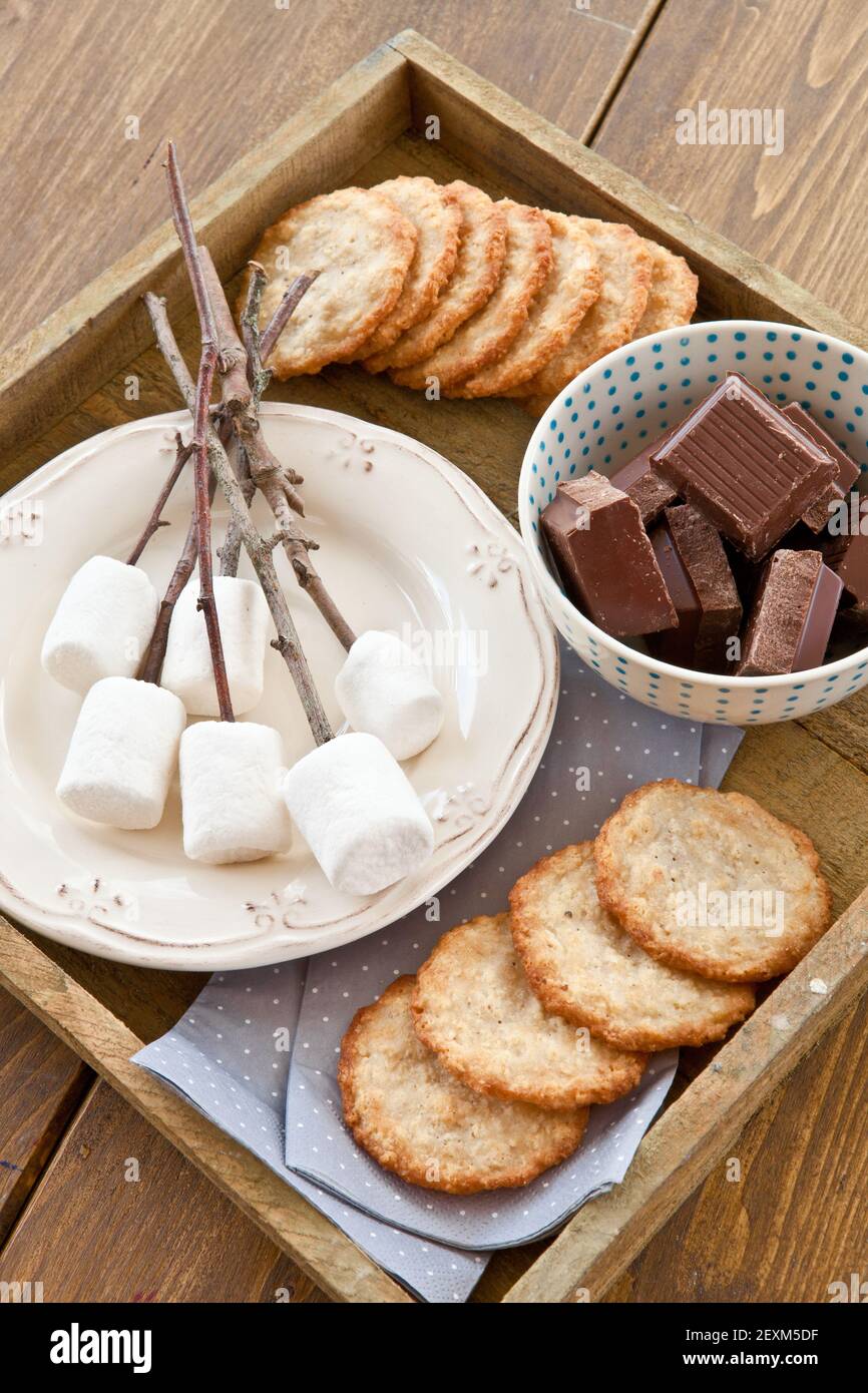 Roasting marshmallows on the fire Stock Photo Alamy