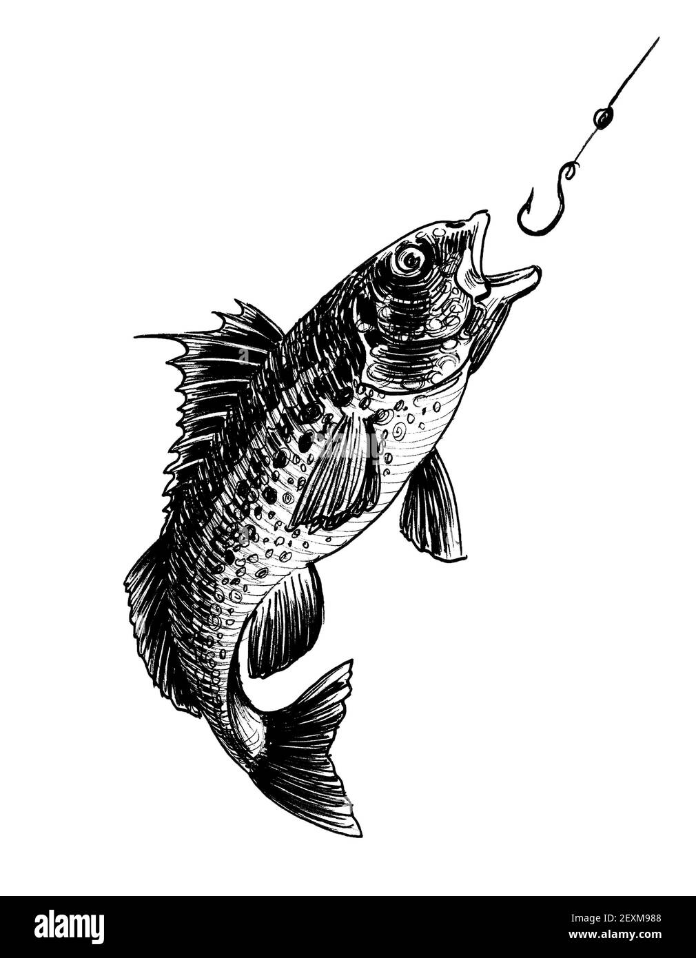 Fish and fishing hook. Ink black and white drawing Stock Photo - Alamy