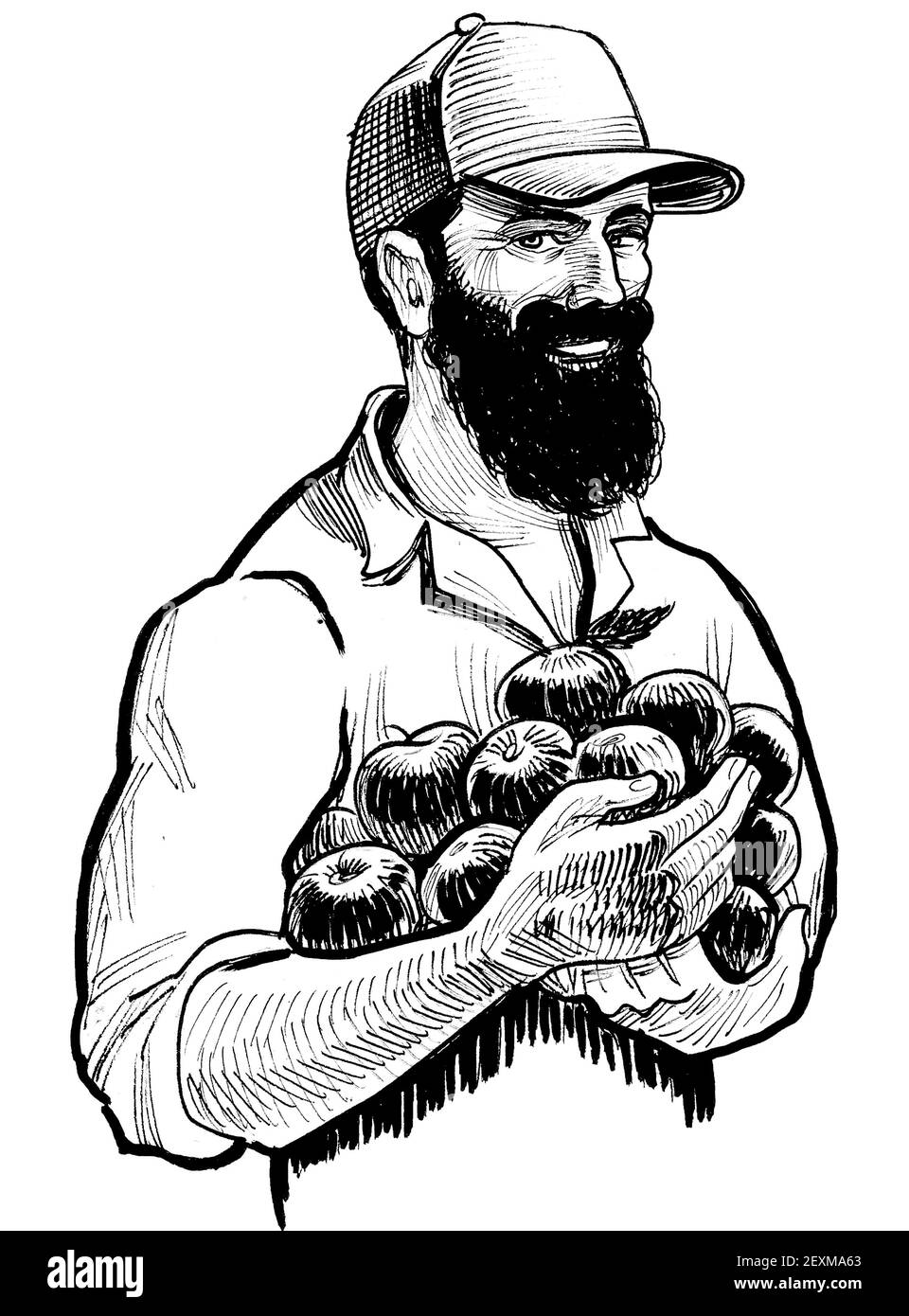 Happy bearded farmer with a crop of apples fruit. Ink black and white drawing Stock Photo