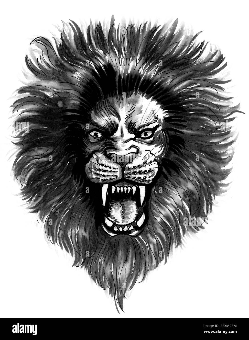 2962 Roaring Lion Sketch Images Stock Photos  Vectors  Shutterstock