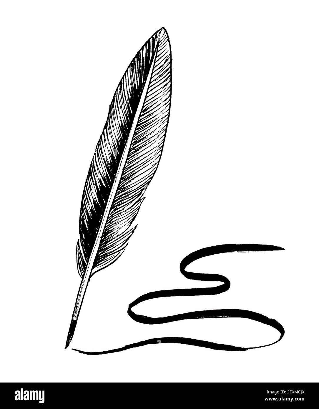 Feather quill pen. Ink black and white drawing Stock Photo