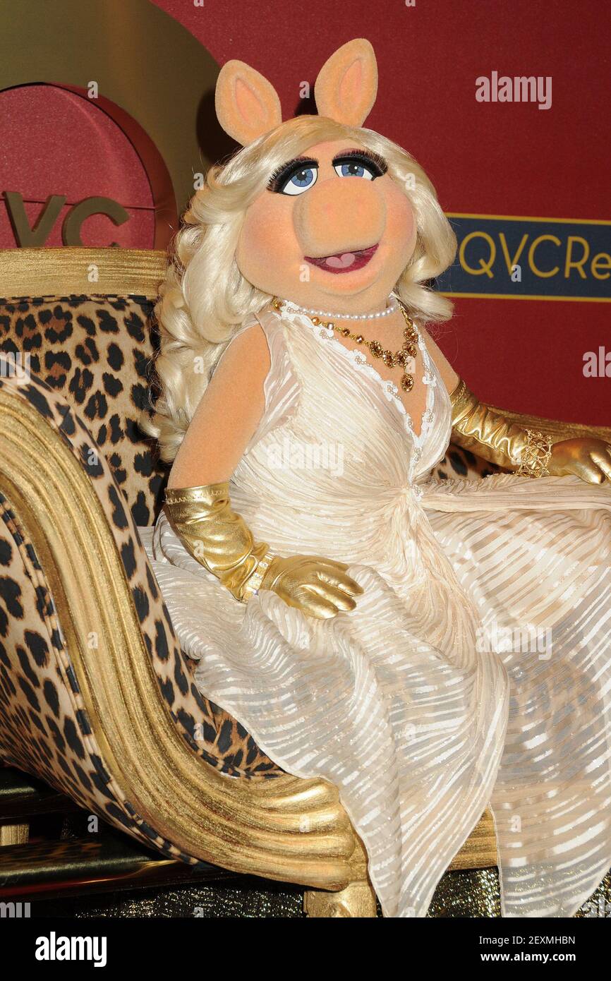28 February 2014 - Los Angeles, California - Miss Piggy. QVC Presents Red  Carpet Style held at the Four Seasons Hotel. Photo Credit: Byron  Purvis/AdMedia/Sipa USA Stock Photo - Alamy
