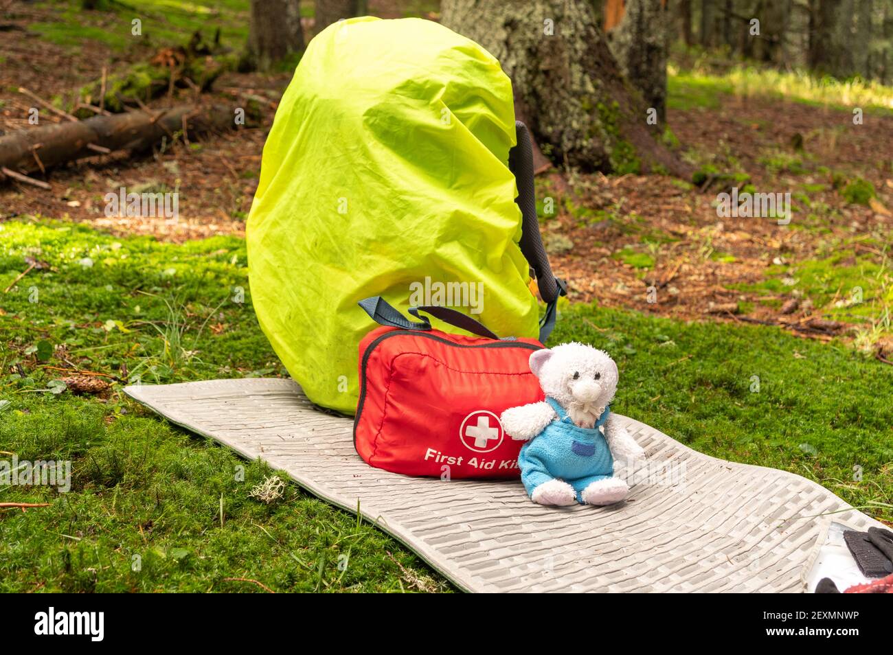 Children's equipment for tourism. Children's toy and backpack. First aid kit and backpack in the woods. Stock Photo