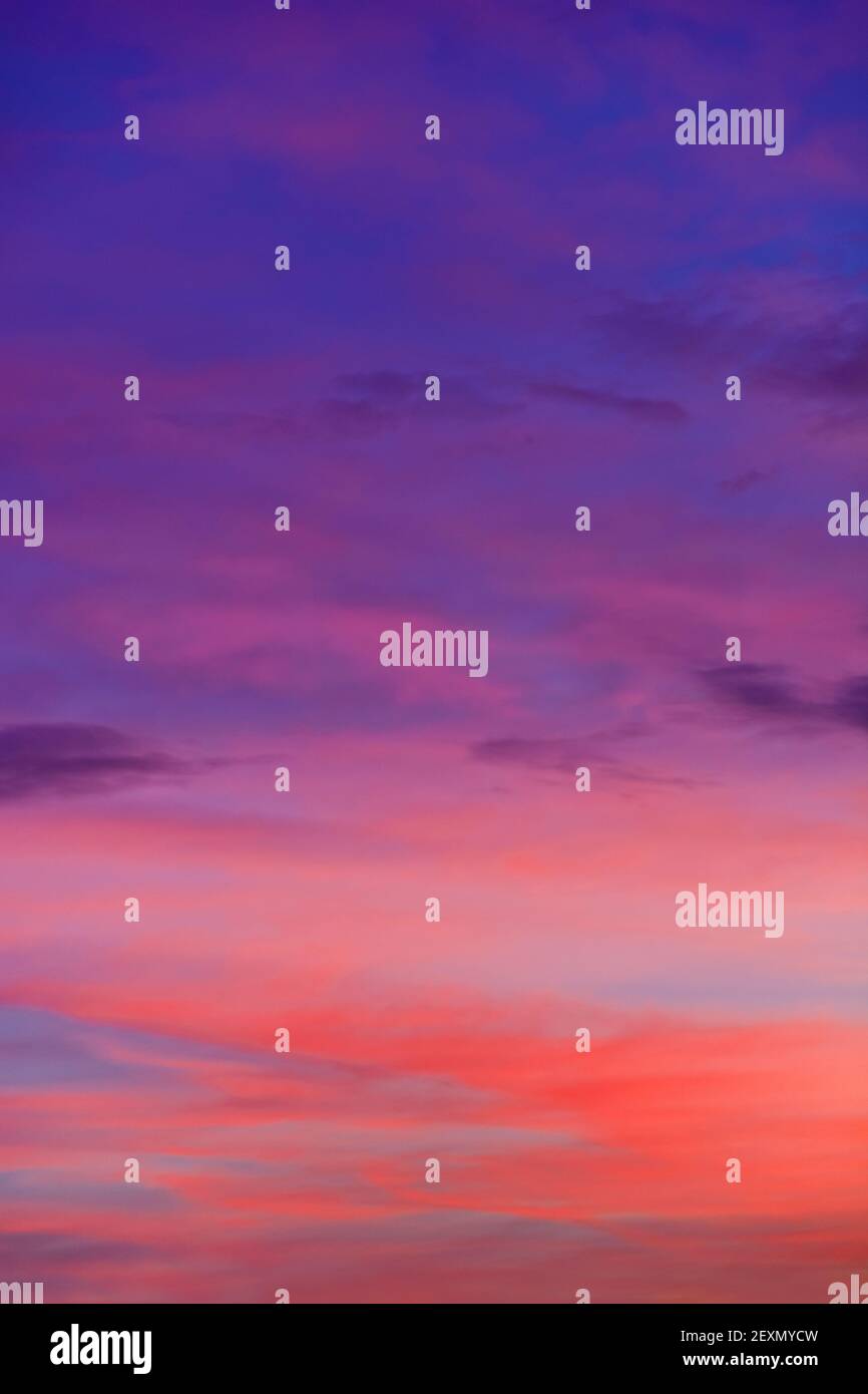 Beautiful pink and purple sky with clouds hi-res stock photography and ...