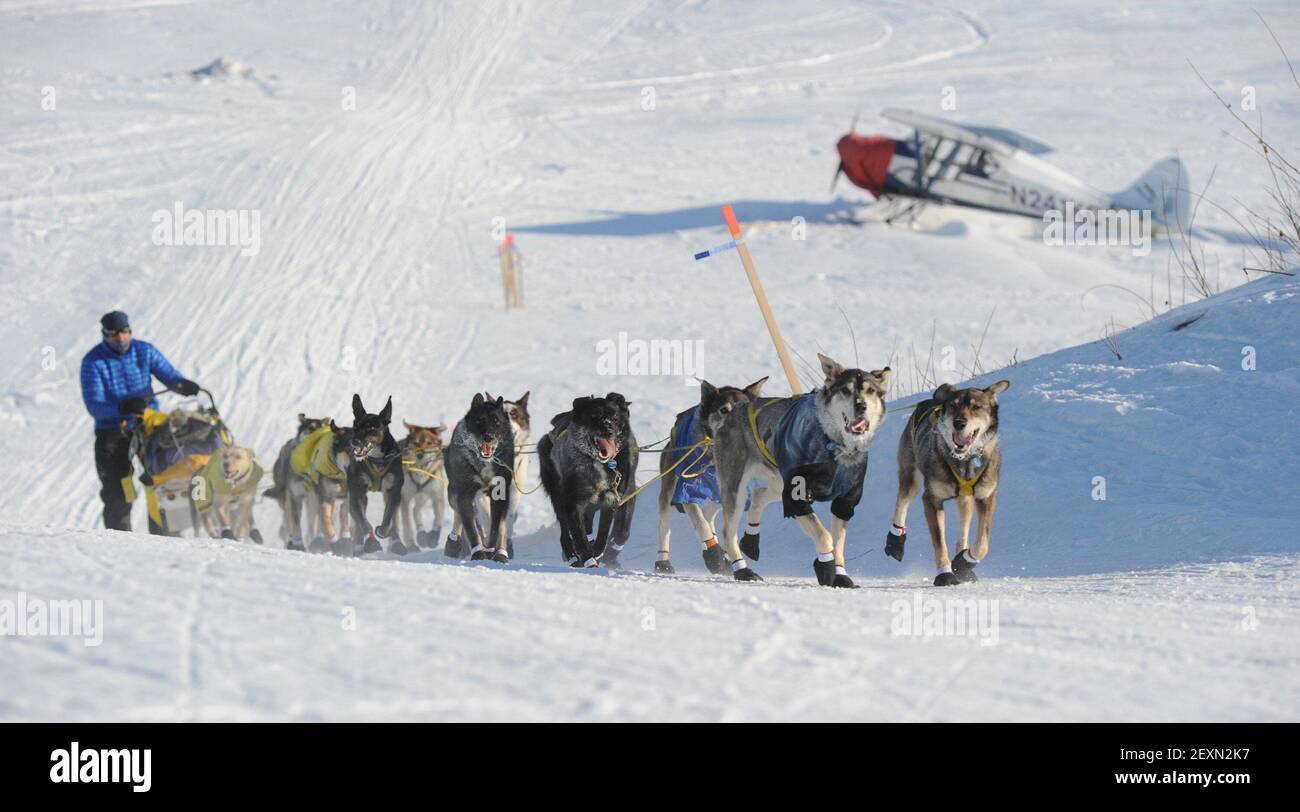 Hans Gatt drives his team off the Yukon River into the village of