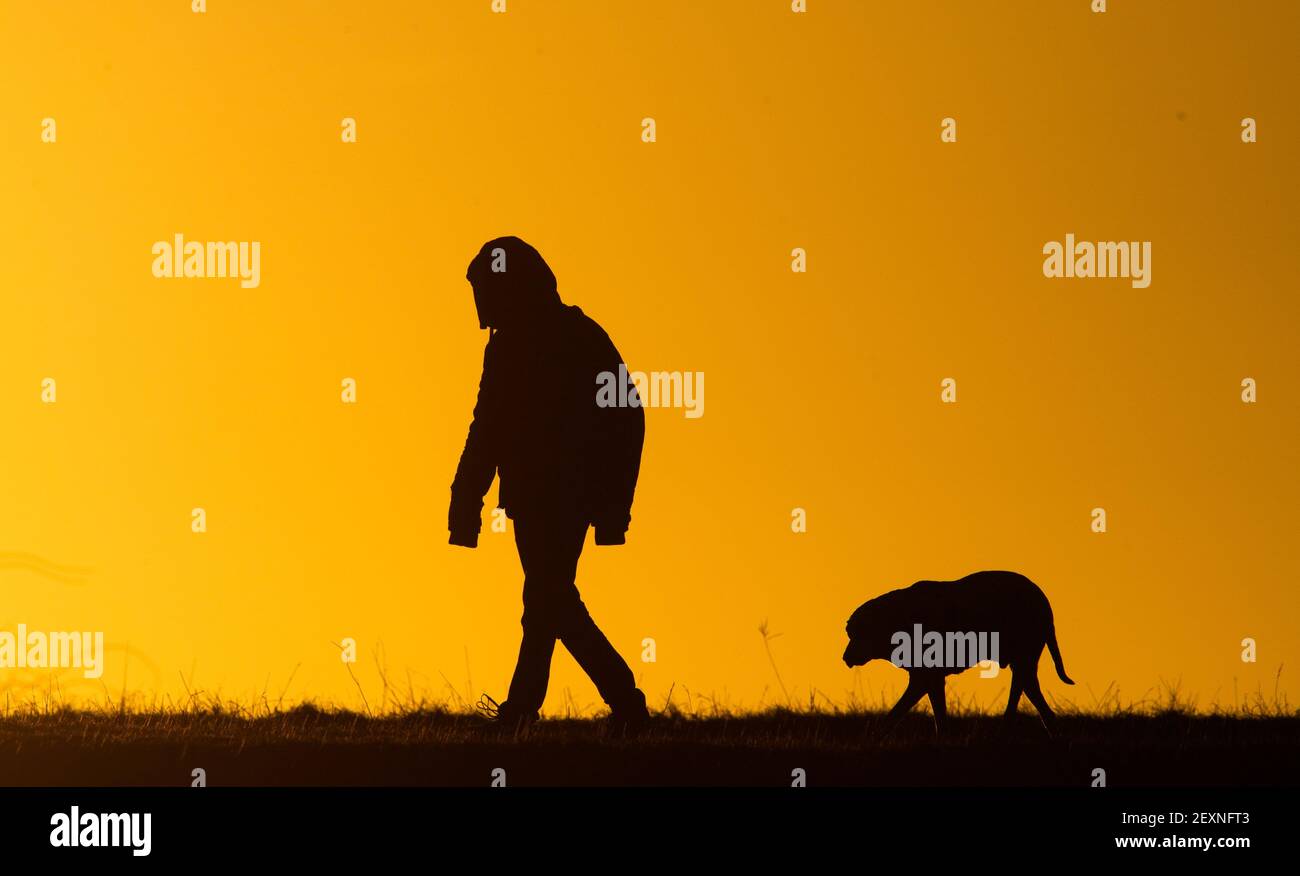 Hanover, Germany. 05th Mar, 2021. A man walks a dog along a country lane at sunrise. Credit: Julian Stratenschulte/dpa/Alamy Live News Stock Photo