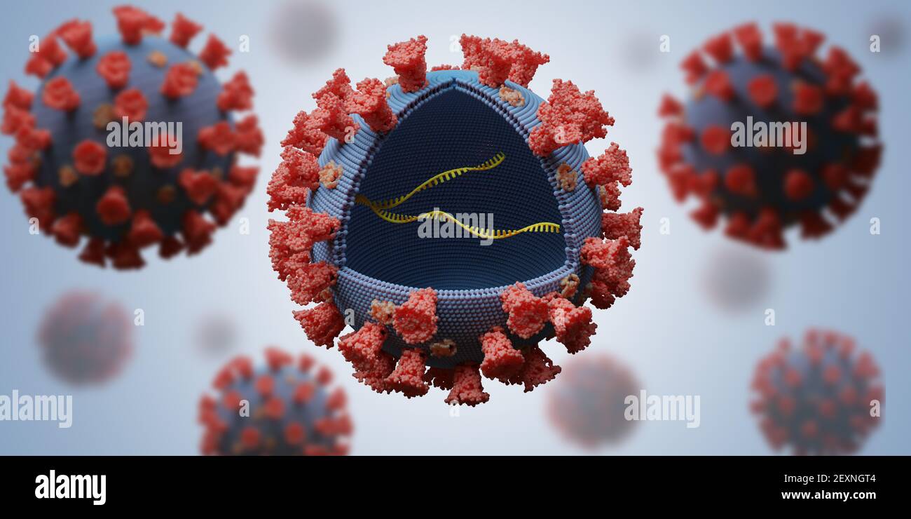 Many viruses with RNA molecule inside. Infection concept. 3D rendered ...