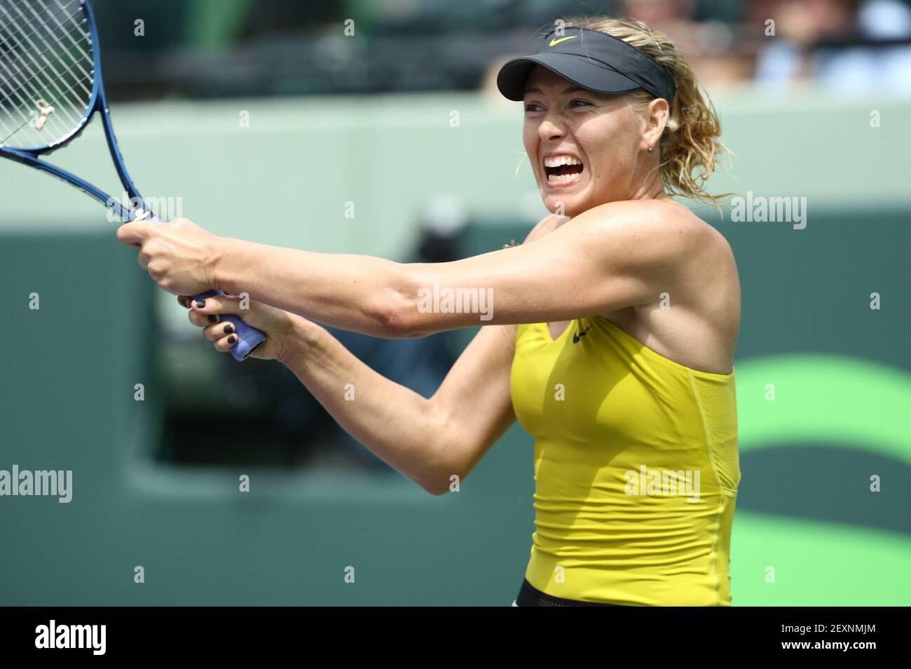 Maria Sharapova in action during her 2014 SONY OPEN TENNIS match at Crandon  Park in Key Biscayne, Florida on March 24th, 2014 (Photo By Chaz Niell  /Sipa USA Stock Photo - Alamy