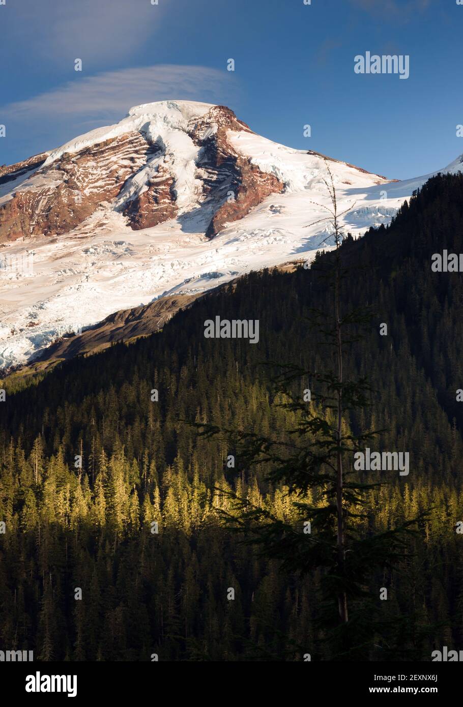 North Cascades Mt. Baker Heliotrope Ridge Glacier Peaks Stock Photo - Alamy