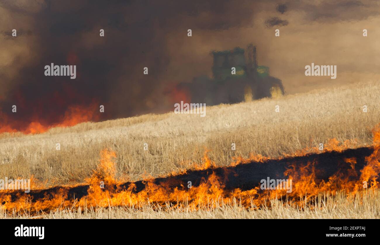 Agricultural Farmers Burn Plant Stalks Harvest Fire Tractor Stock Photo