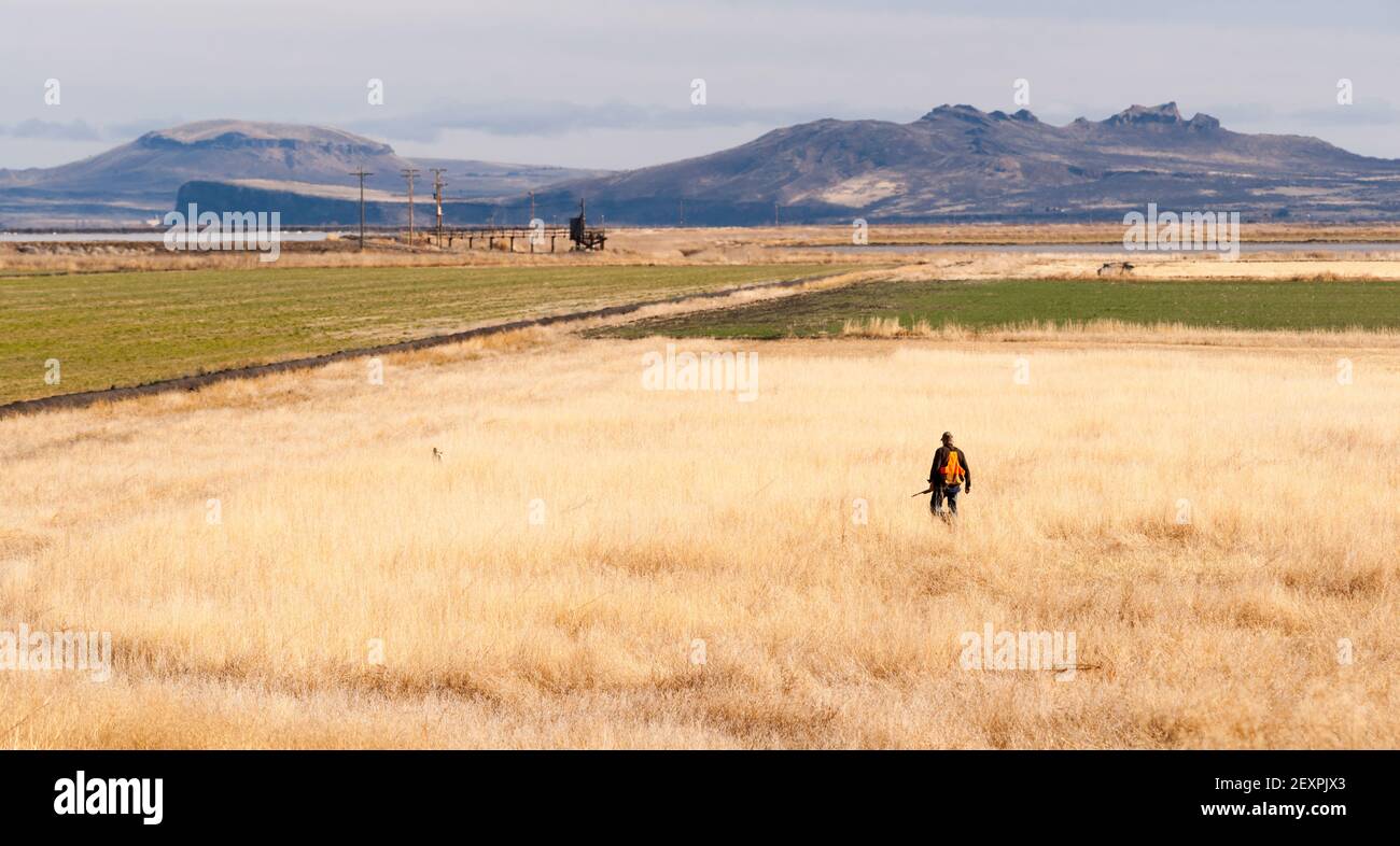 Фурри кот снайпер. Lone hunter. Osmar shotgun art. Lone hunter. Фурри снайпер oleedueolo.