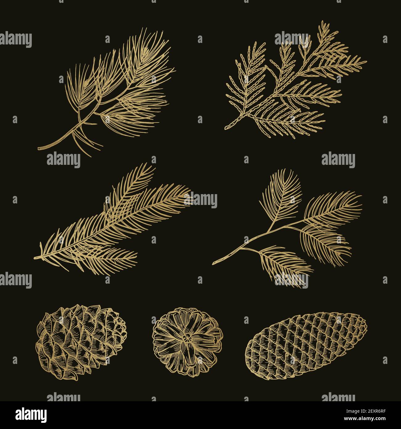 Gold fir branches and cones doodle vector set Stock Vector