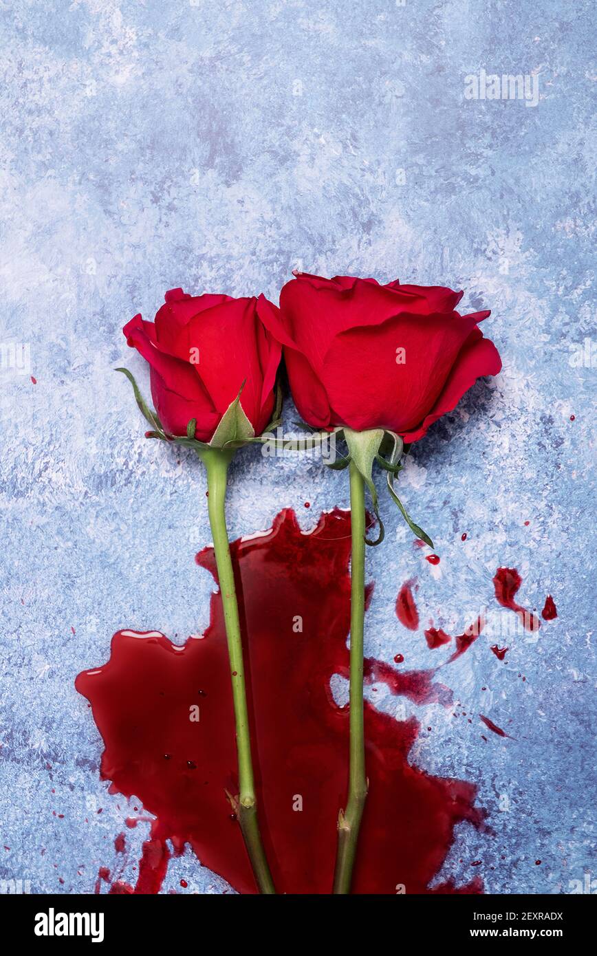 Red roses and blood on a blue textured background with copy space and ...