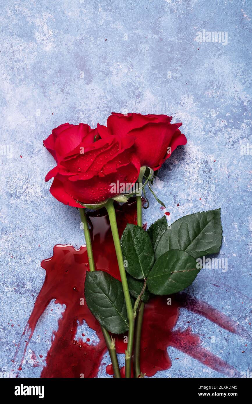 Red roses and blood on a blue textured background with copy space and room  for text Stock Photo - Alamy