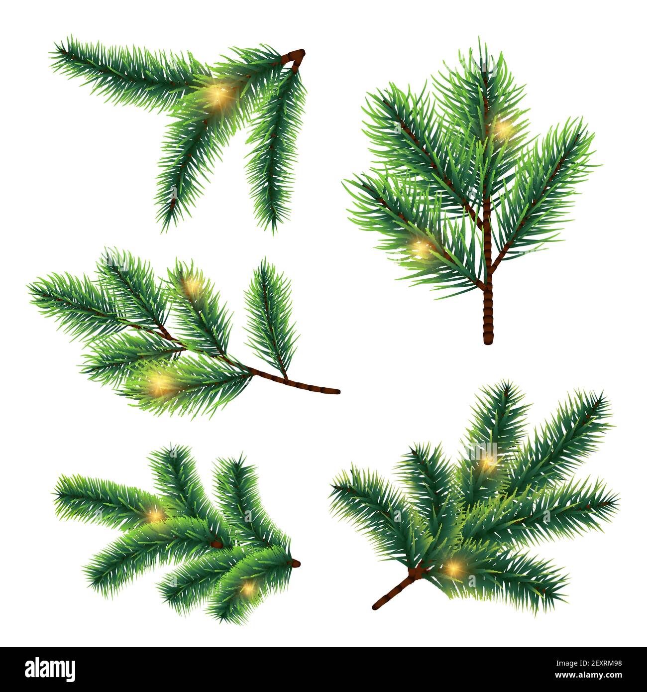 Fir tree branches with lights vector isolated on white background. Branch tree to christmas, light fir greeting and festive illustration Stock Vector