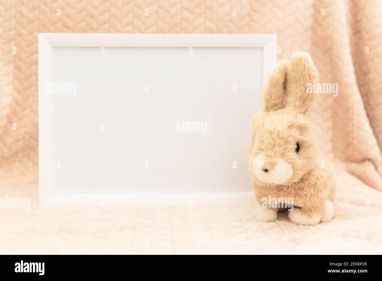 Stuffed animal toy bunny and white frame mockup Stock Photo