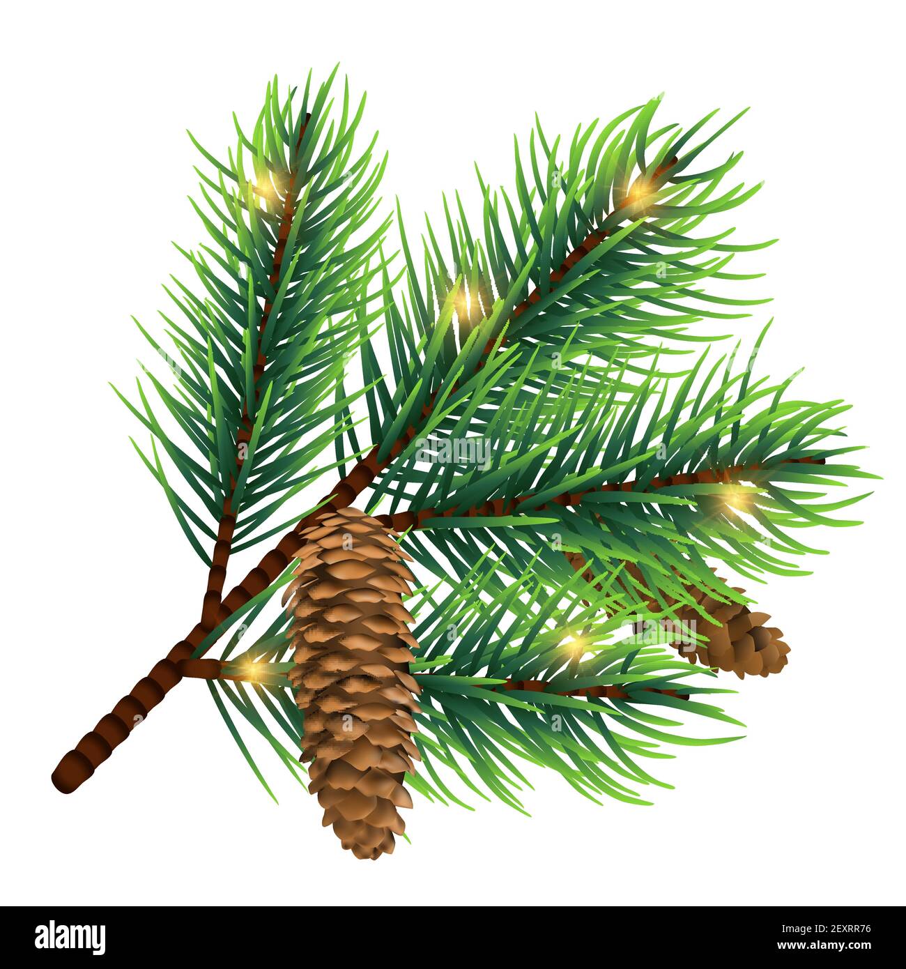 Vector realistic fir tree branch with cone and lights isolated on white background. Christmas light on green branch tree to greeting xmas illustration Stock Vector