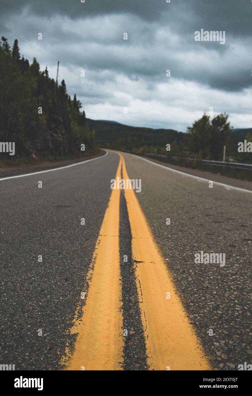 The yellow lines on a long asphalt road surrounded by greens under the ...