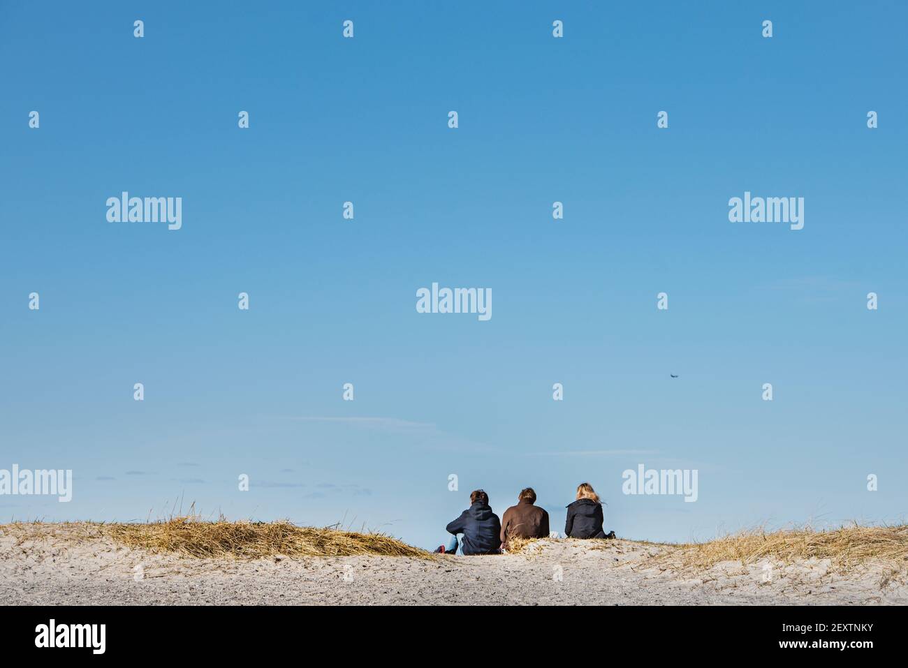 Back view of a bunch of lighthearted people sitting on a sandy dune convey happiness and freedom. Cheerful or carefree adults sit together on a beach Stock Photo