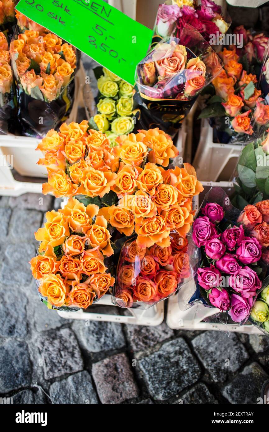 Fresh roses hires stock photography and images Alamy