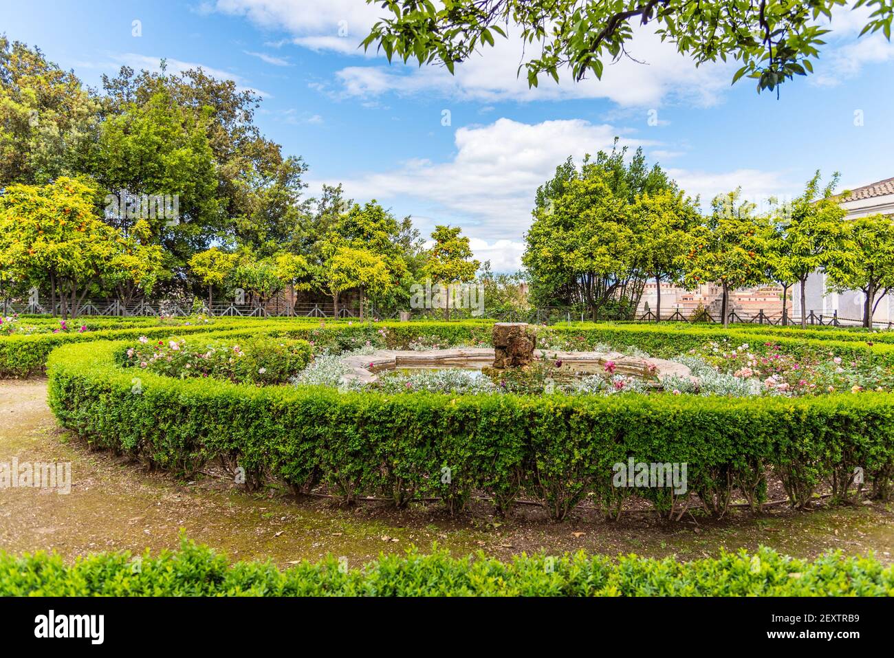 Rose garden of Roman Forum Stock Photo Alamy