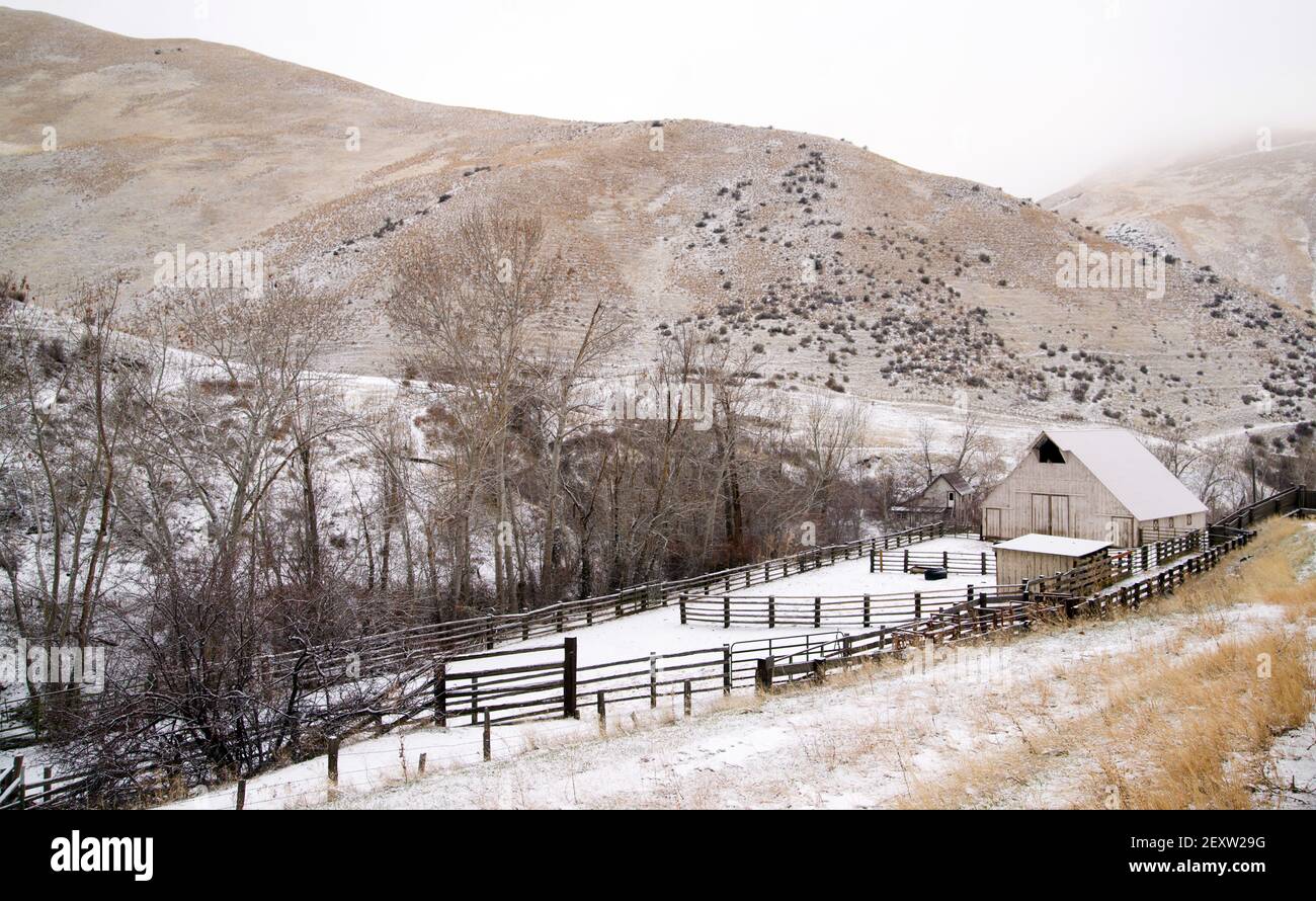 Fresh Snow Blankets Hillside Rural Country Scene Forgotten Ranch Stock Photo