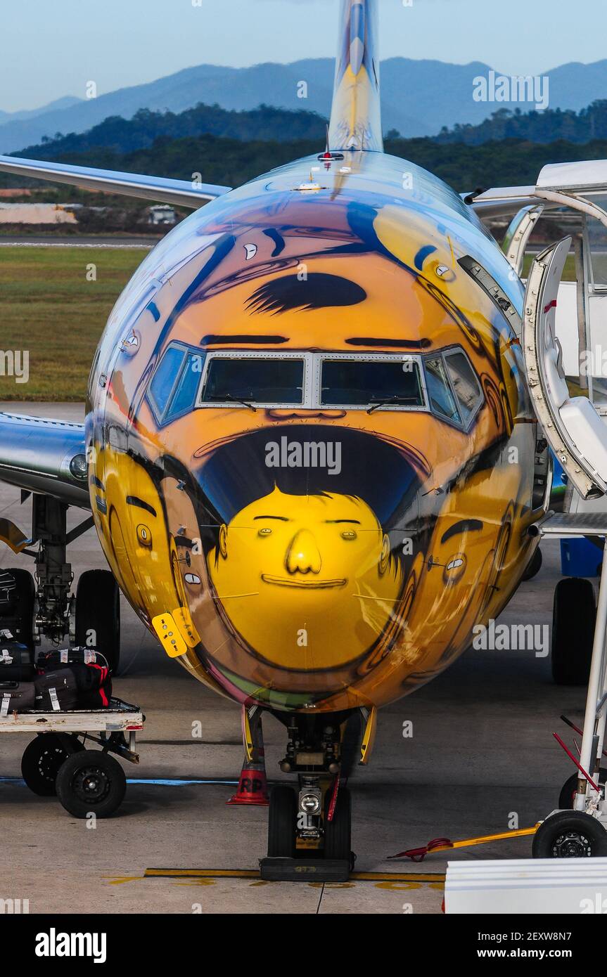 Brazil Soccer Team airplane for the 2014 FIFA World Cup Brazil