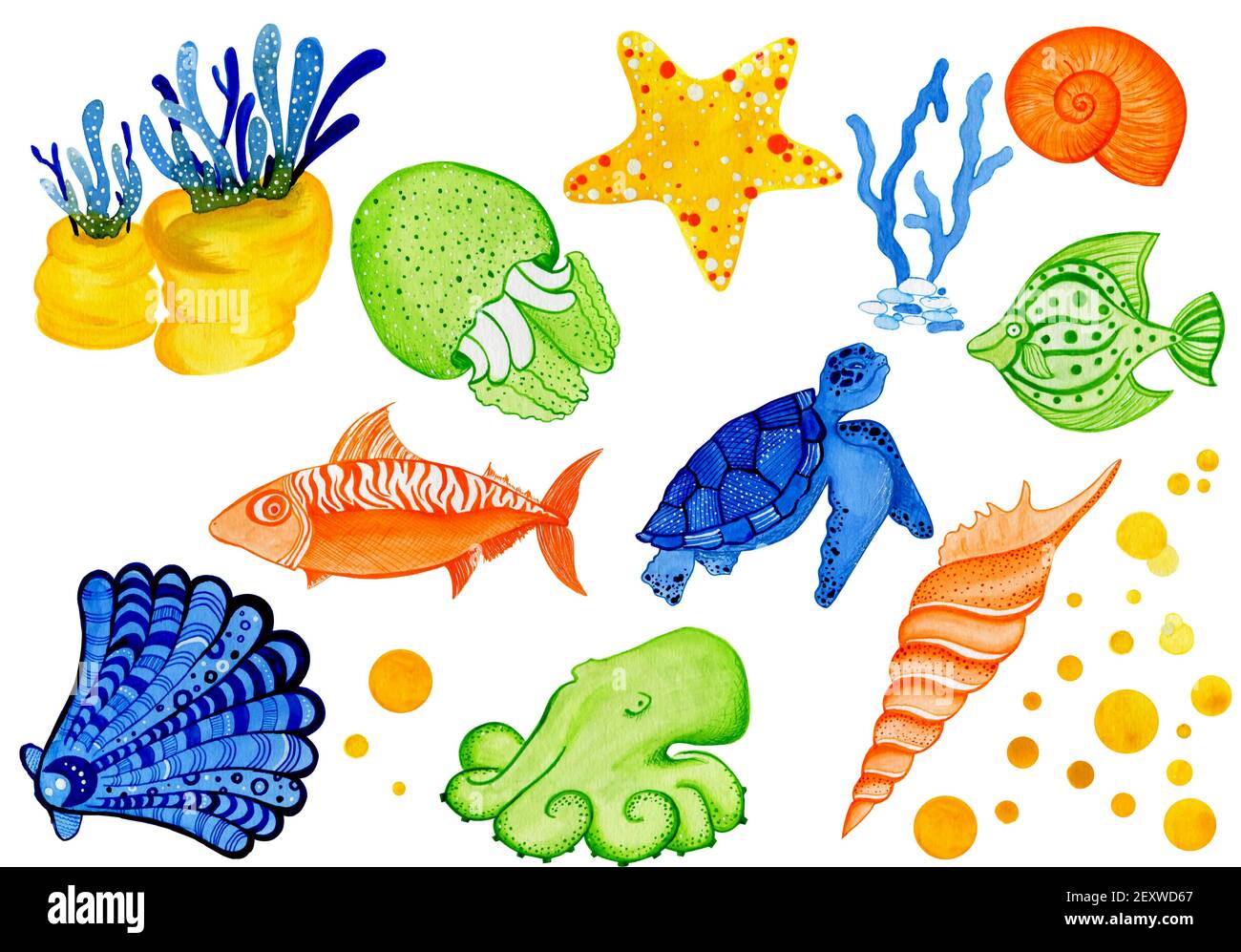 set of underwater animals and reefs Stock Photo